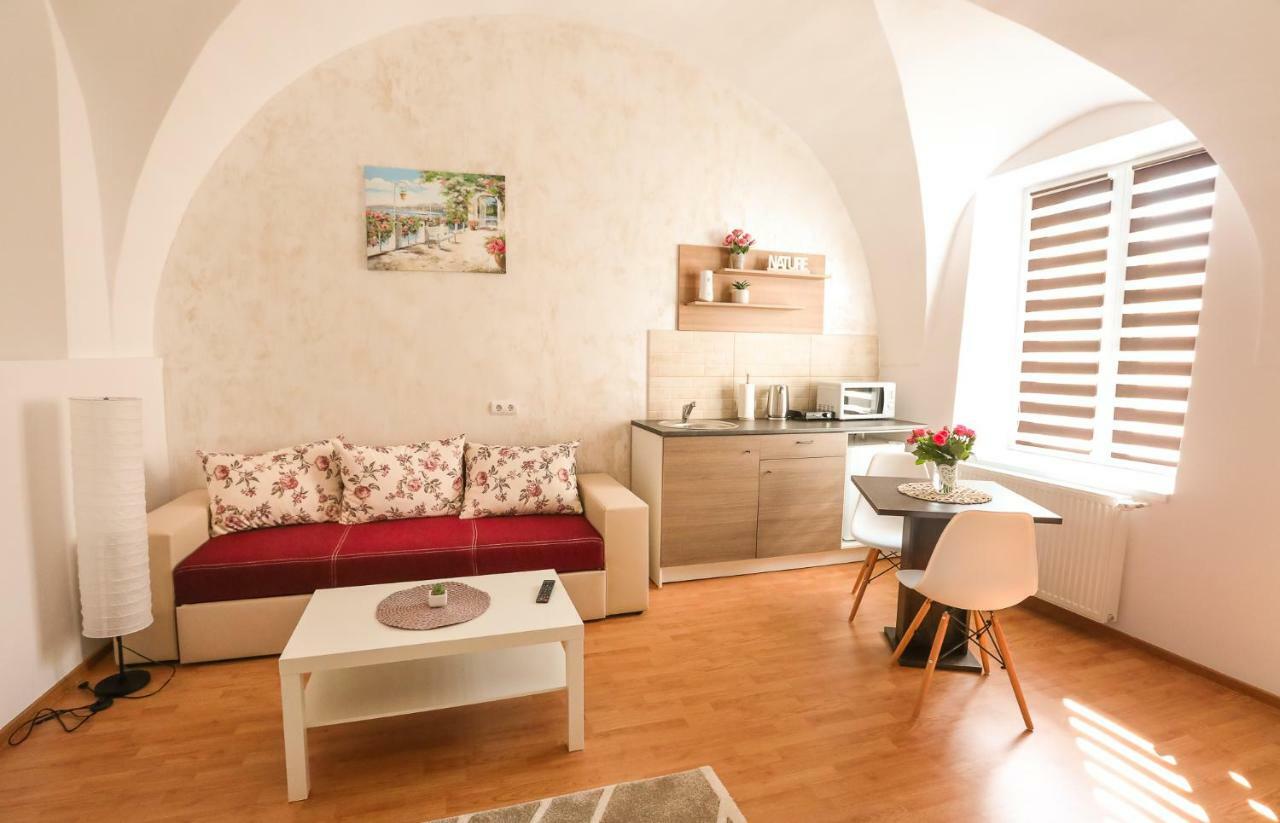 Serenity House Apartments Sibiu Extérieur photo